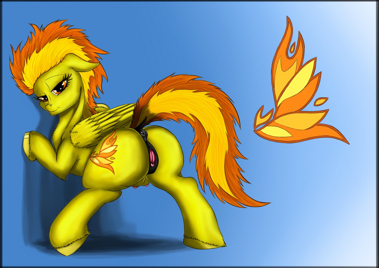 E Hentai Pegasus