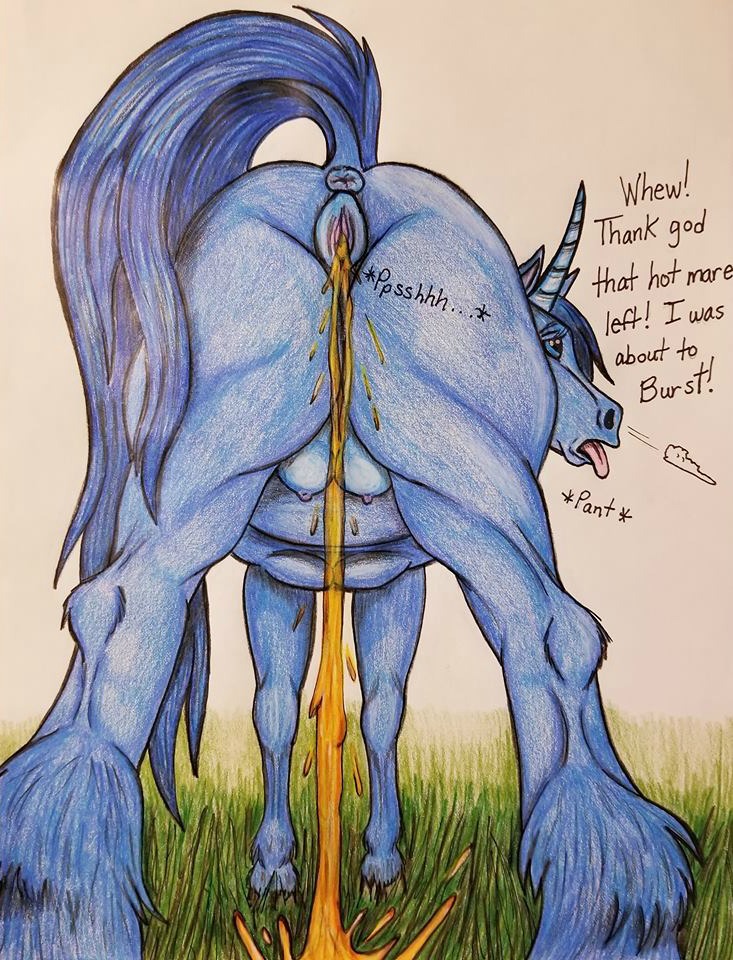 Horse Pooping Porn