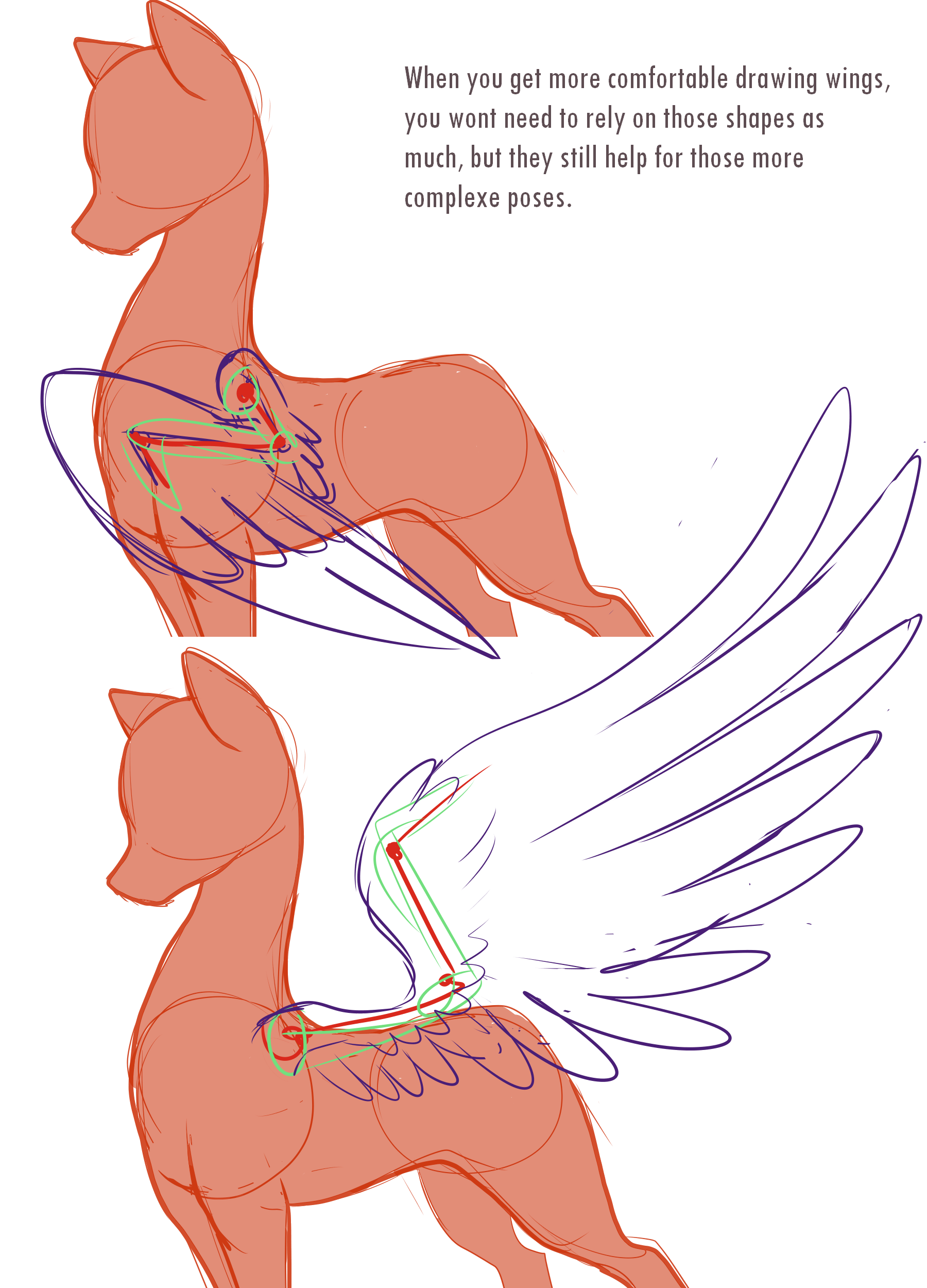 Анатомия пони для рисования