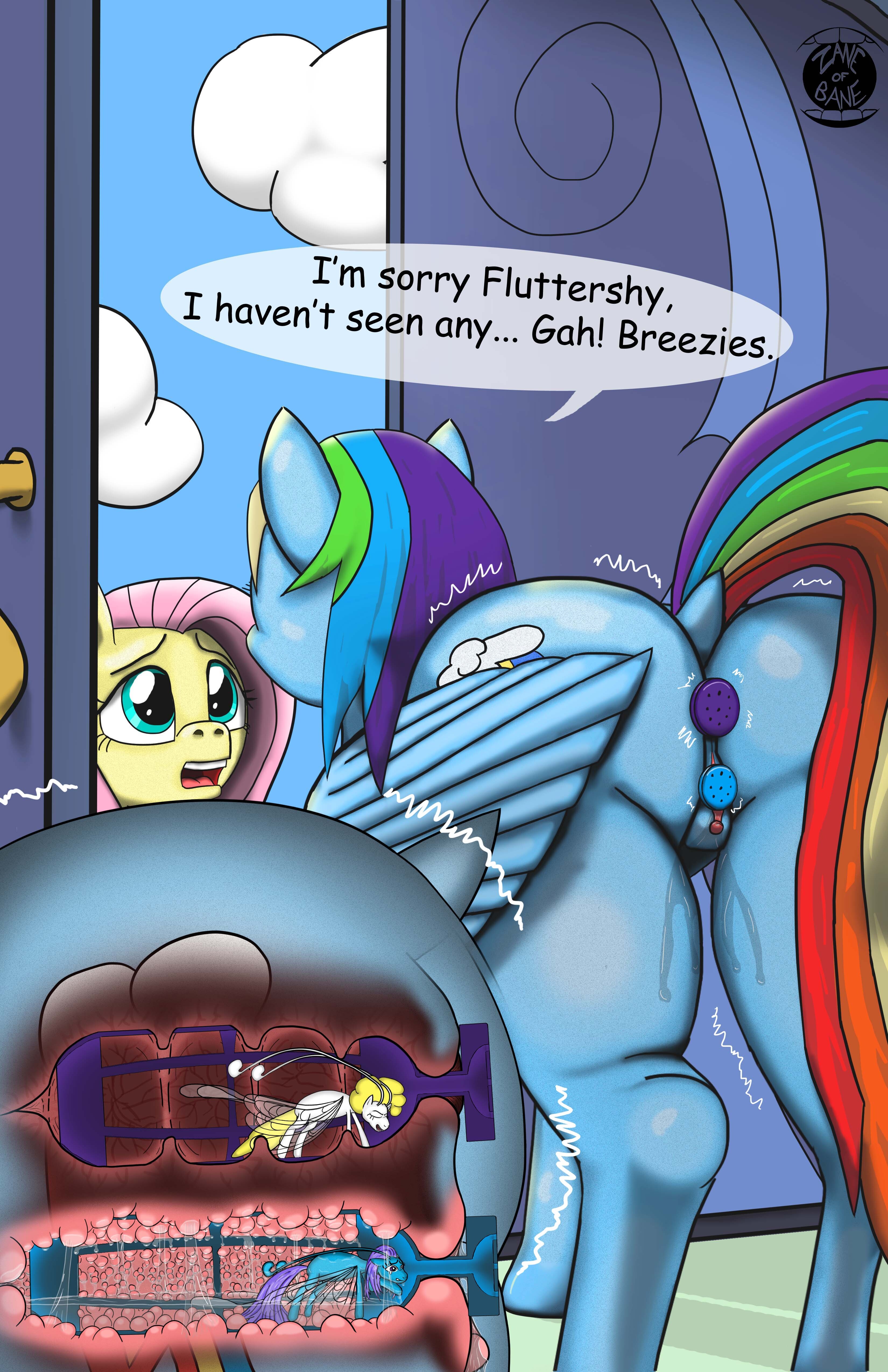 2728980 - explicit, artist:zaneofbane, fluttershy, rainbow dash, breezie,  pegasus, pony, g4, anal insertion, anal vore, anus, butt, buttplug,  clitoris, cross section, dialogue, dildo, female, fetish, insertion, mare,  nudity, plot, rear view, sex