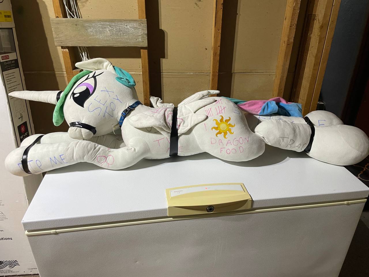 2941479 Questionable Princess Celestia Alicorn Body Writing