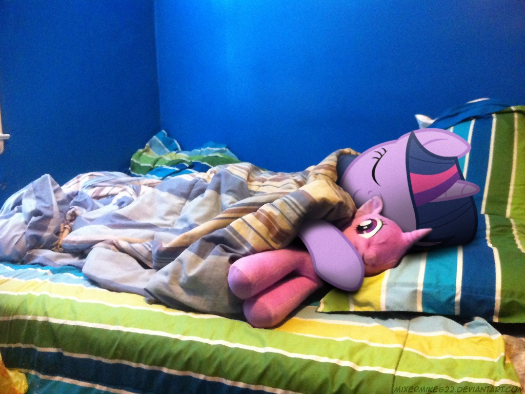 https://derpicdn.net/img/view/2012/10/3/112662__safe_twilight+sparkle_photo_cute_plushie_sleeping_ponies+in+real+life.jpg