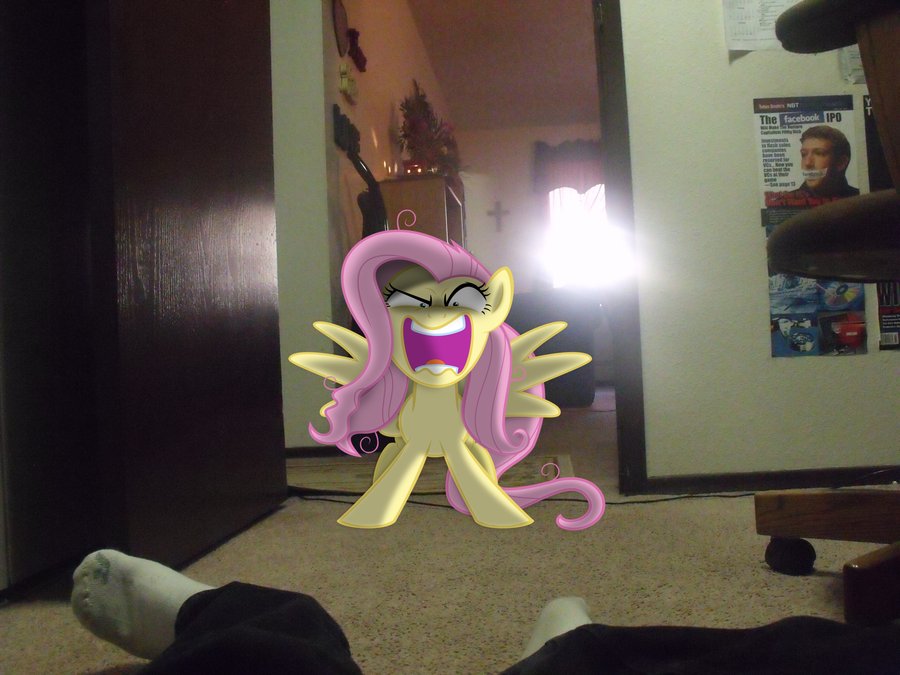 137039__safe_fluttershy_photo_human_pony