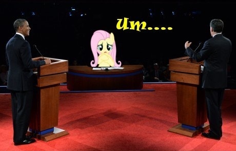 113564__safe_fluttershy_photo_human_pony