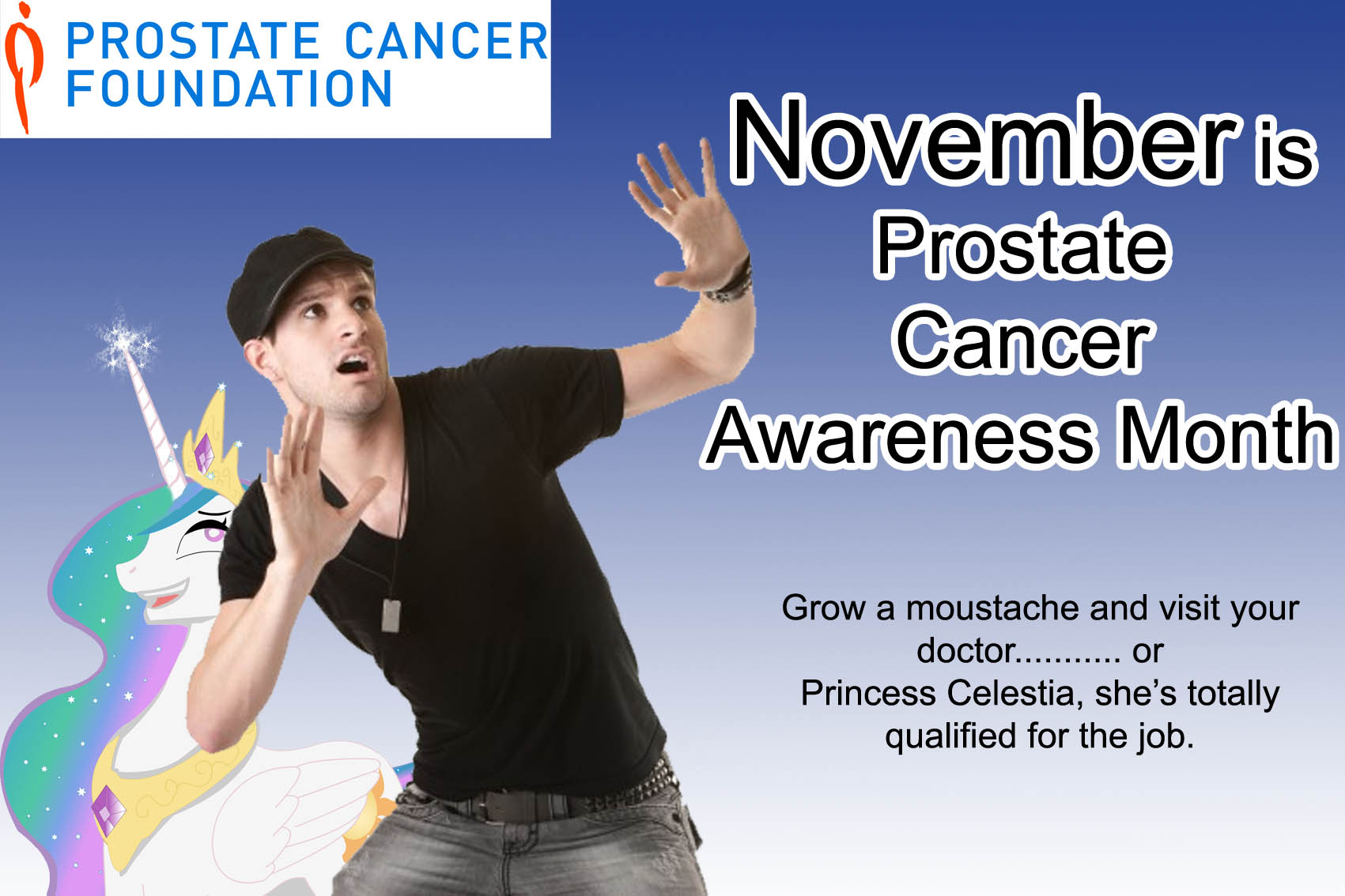 142895 no shave november, november, princess celestia