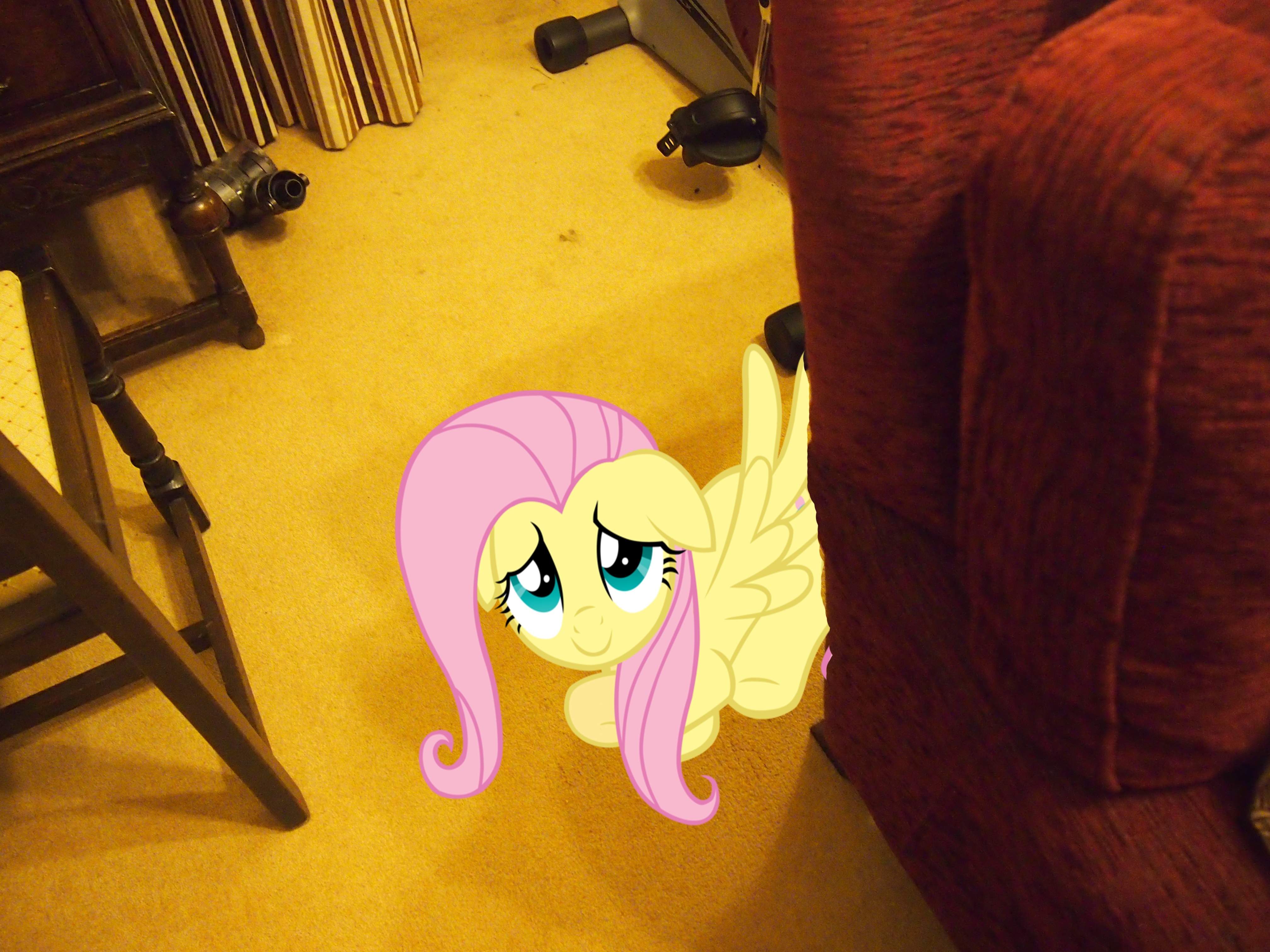 186748__safe_fluttershy_photo_vector_pon