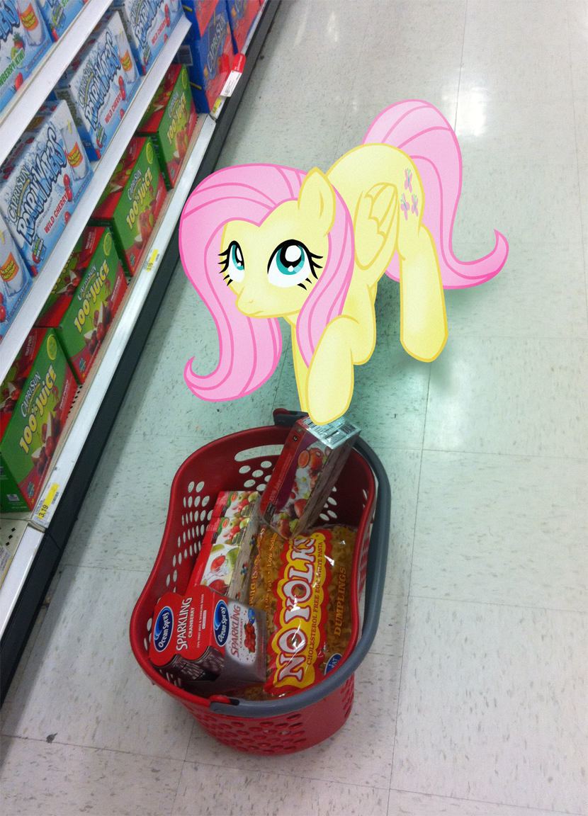 10945__safe_fluttershy_photo_pony_ponies