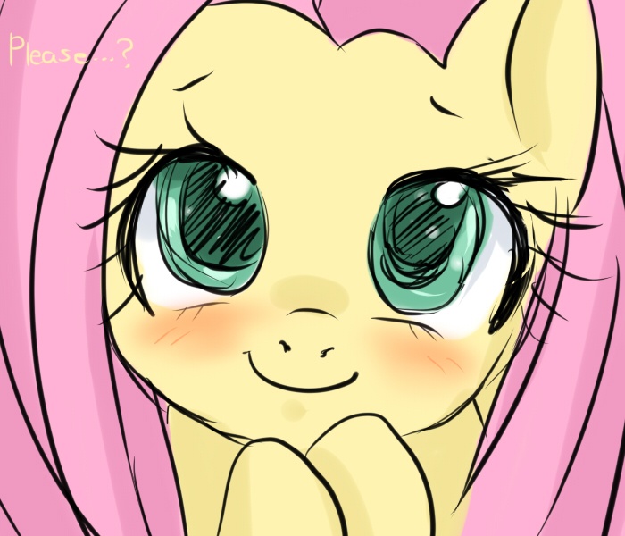 Fluttershy pics: cute, adorable, and funny - The Fluttershy Fan Club ...