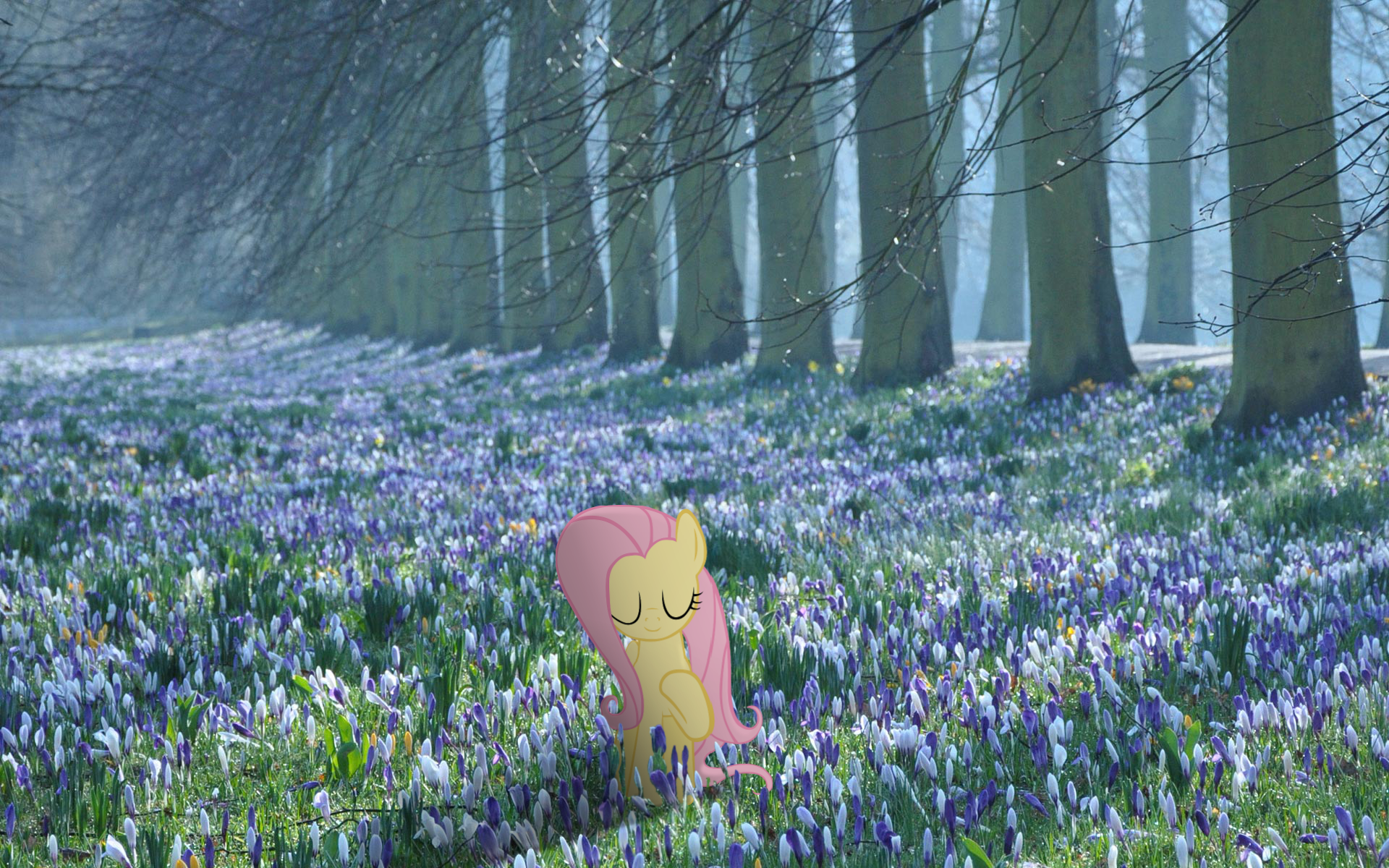 26150__safe_fluttershy_photo_vector_eyes