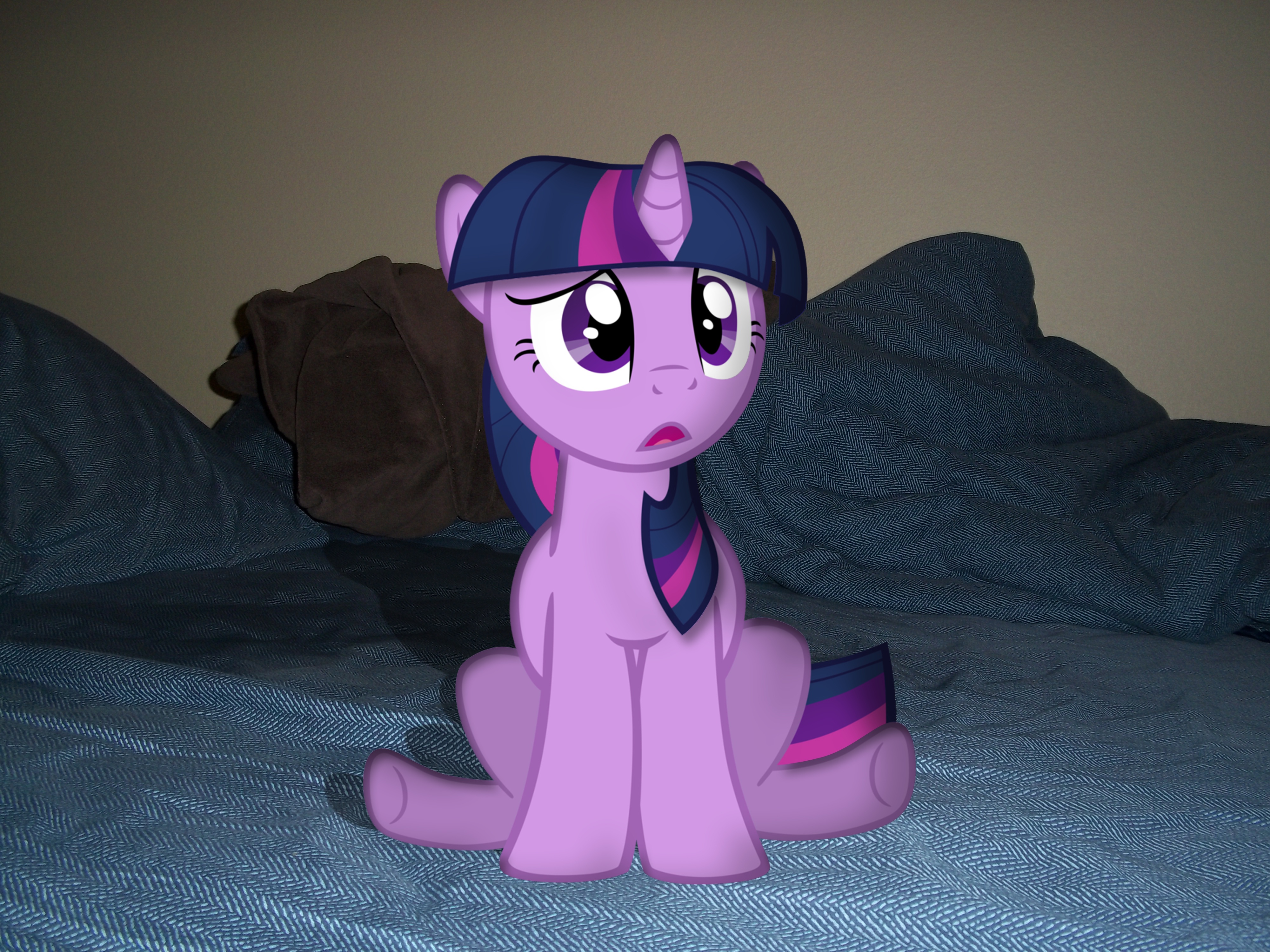 https://derpicdn.net/img/view/2012/6/30/26195__safe_twilight+sparkle_photo_pony_ponies+in+real+life.jpg