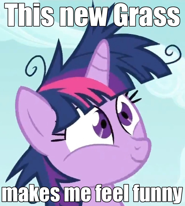 Sparkly Lsd #62653 - safe, twilight sparkle, drugs, high, image macro, insanity ...
