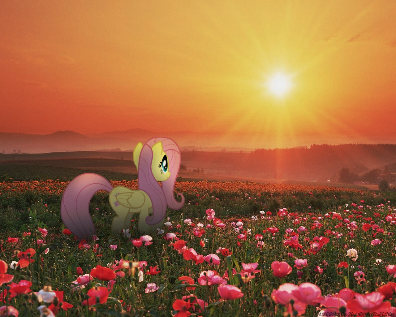 71849__safe_fluttershy_photo_vector_pony