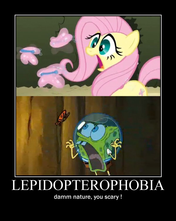 #199033 - butterfly, family guy, fear, fluttershy ...