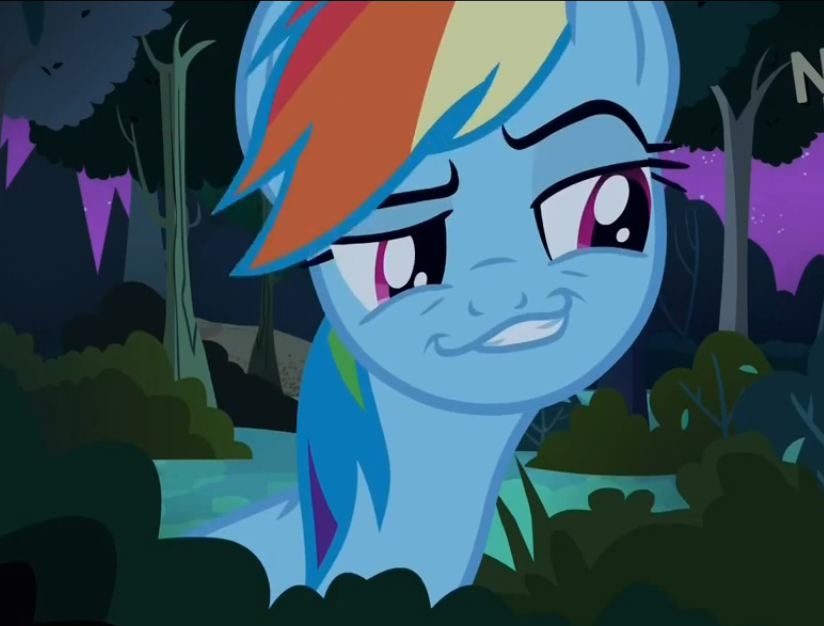 [Official!] Project Horizons Comment Crew Chat thread. - Page 25 492252__safe_solo_rainbow+dash_smugdash_smug+face