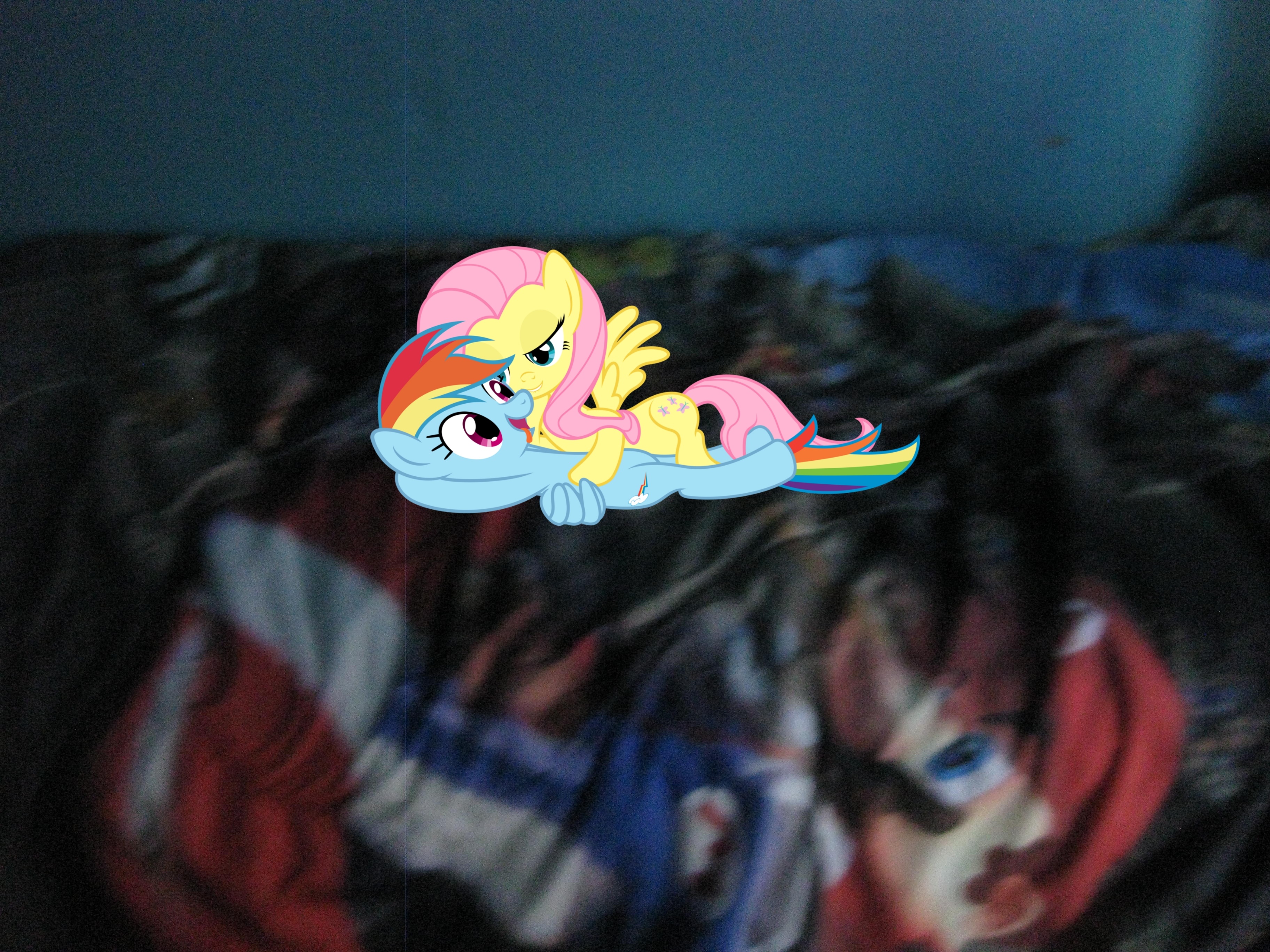 #336394 - suggestive, fluttershy, rainbow dash, bed, bedroom, bedroom ...