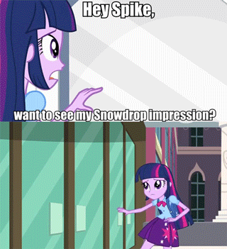 400453__safe_twilight+sparkle_oc_animated_equestria+girls_oc-colon-snowdrop_we+are+going+to+hell_blind+joke.gif