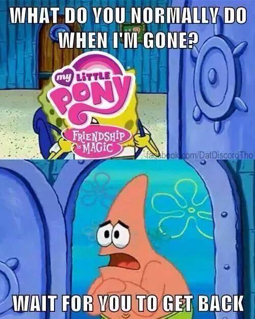 #743620 safe image macro meme new student starfish patrick star