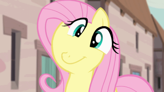 1011869__safe_solo_fluttershy_animated_s