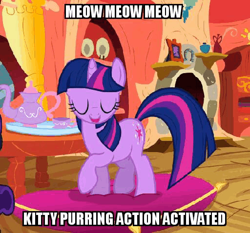 https://derpicdn.net/img/view/2015/12/1/1034344__safe_twilight+sparkle_screencap_animated_meme_text_pony_spike+at+your+service_behaving+like+a+cat_twilight+cat.gif