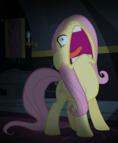 984491__safe_solo_fluttershy_animated_op