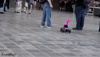 1794755__safe_tempest+shadow_animated_bronycon_irl_photo_plushie_rc+car_toy.gif